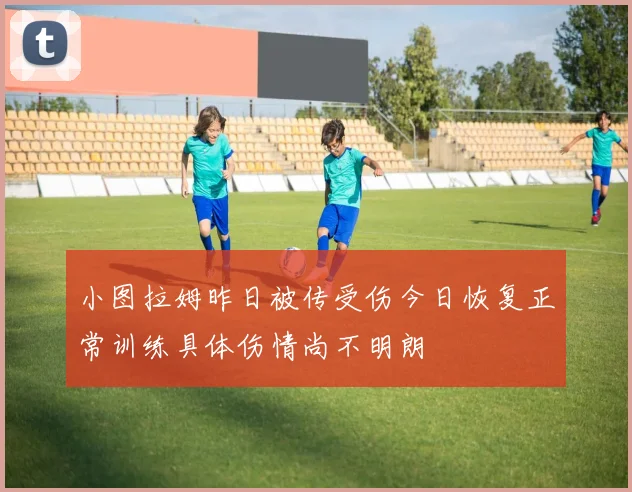 小图拉姆昨日被传受伤今日恢复正常训练具体伤情尚不明朗