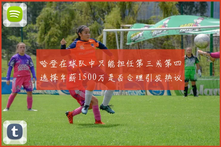 哈登在球队中只能担任第三或第四选择年薪1500万是否合理引发热议