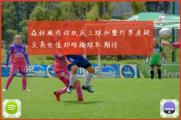 森林狼内部欢庆三球加盟外界质疑交易价值却难掩球队期待